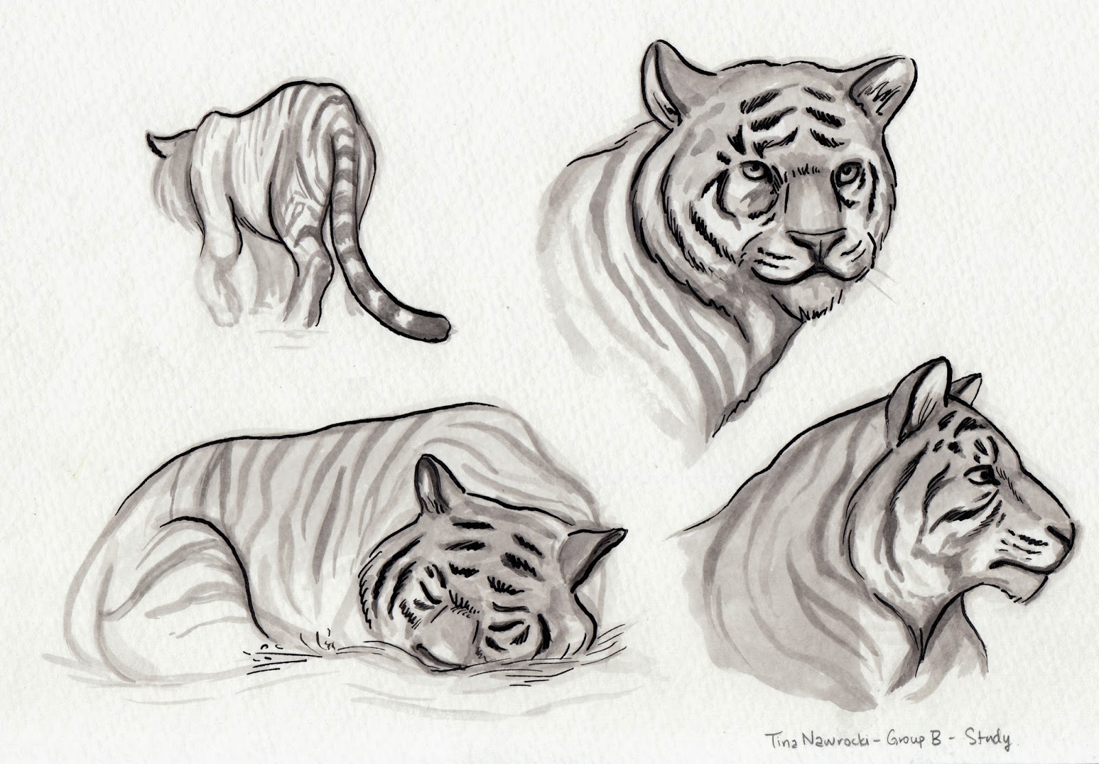 1600x1112 Tina Nawrocki - Zoo Drawing