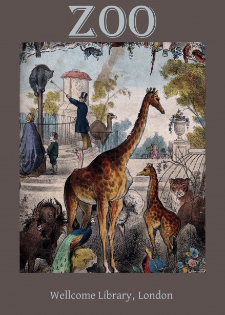 439x615 Welcome Library Zoo Remix Drawing Free Stock Photo - Zoo Drawing