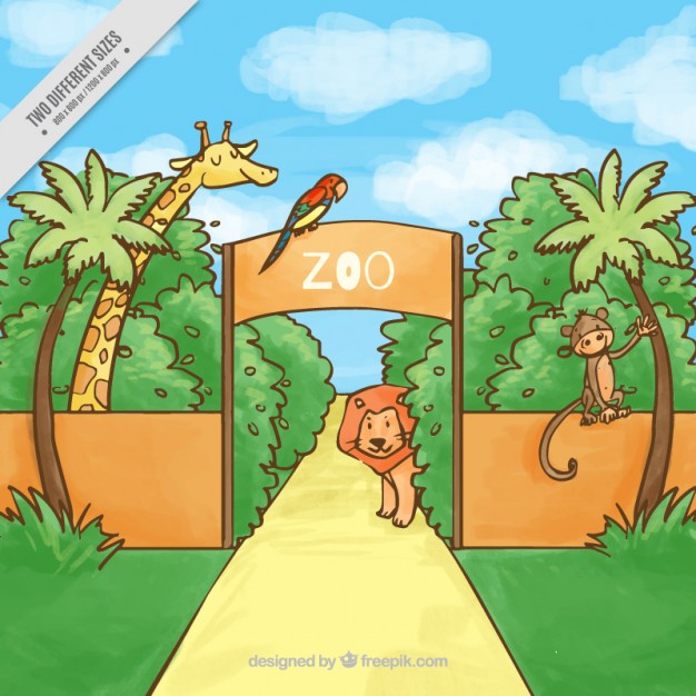 626x626 Hand Drawn Zoo With Animals Background Vector Free Download - Zoo Drawing