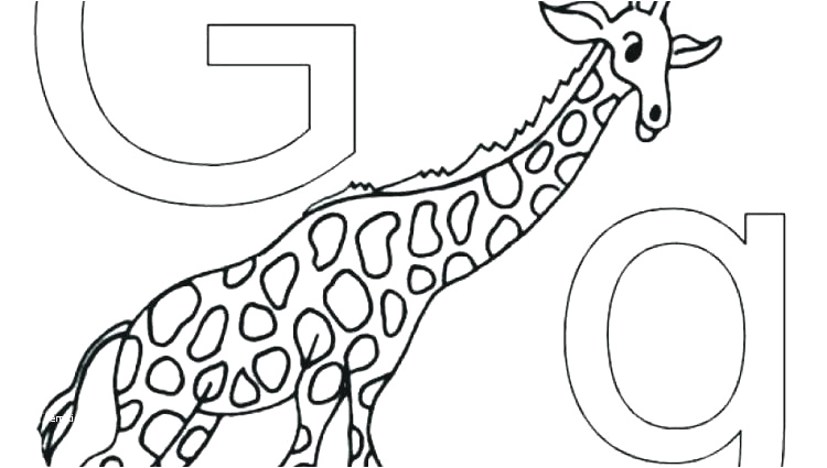 750x425 Easy Zoo Animals To Draw Wild Animal Coloring Pages Ely Coloring - Zoo Drawing For Kid