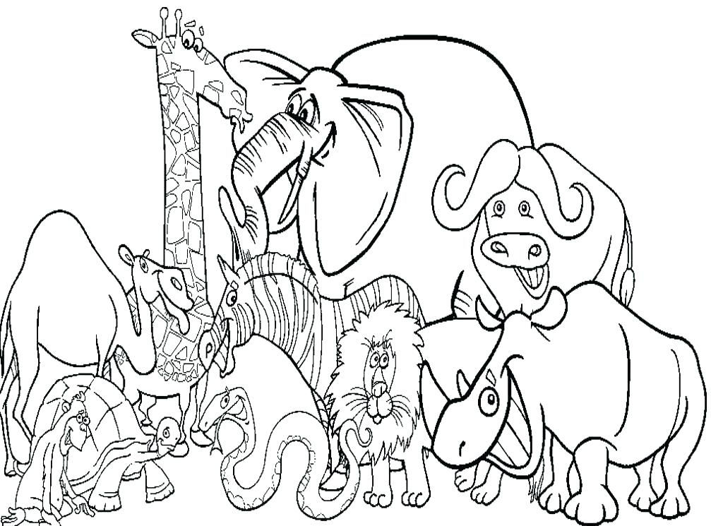 1007x745 Zoo Animals Coloring Pages Printable Free - Zoo Drawing For Kid