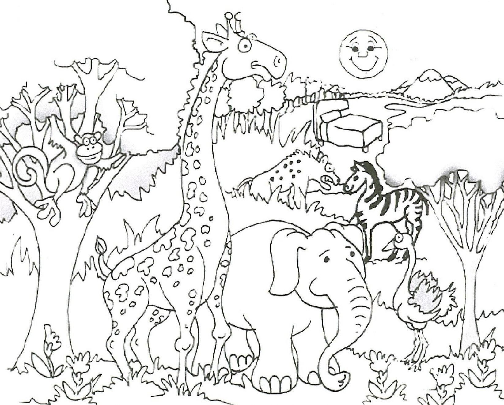 1645x1323 Nice Zoo Animal Coloring - Zoo Pictures For Drawing