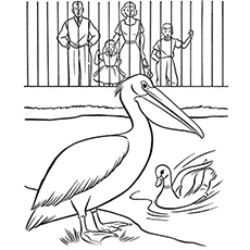 230x230 Top Free Printable Zoo Coloring Pages Online - Zoo Pictures For Drawing