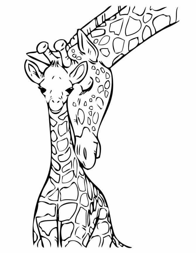 670x867 Drawing Animals Book And Zoo Animals Coloring Sheet Mammals - Zoo Pictures For Drawing