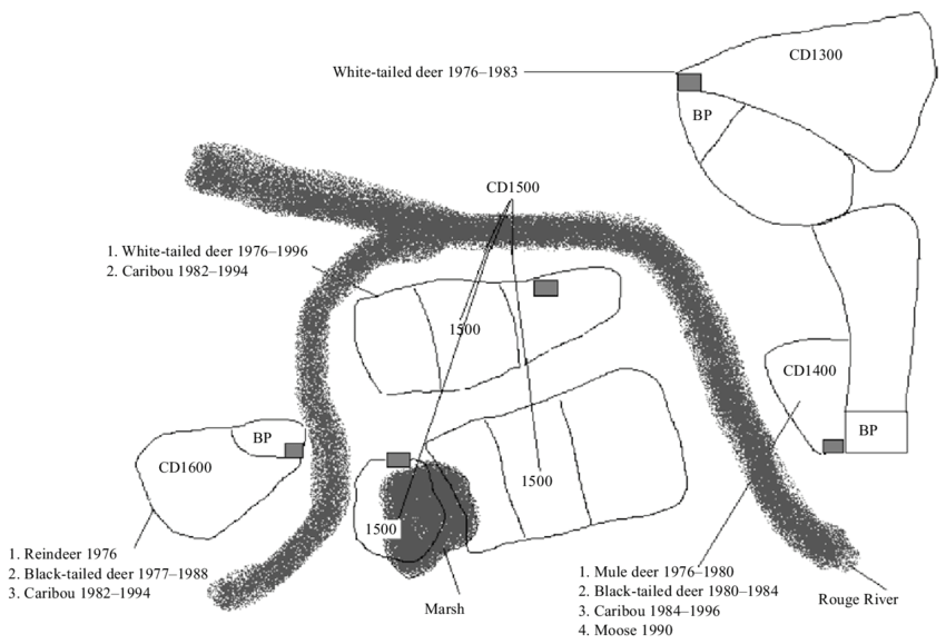 850x579 Drawing - Zoo Pictures For Drawing