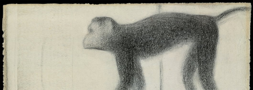 1059x376 Drawing Animals - Zoo Pictures For Drawing