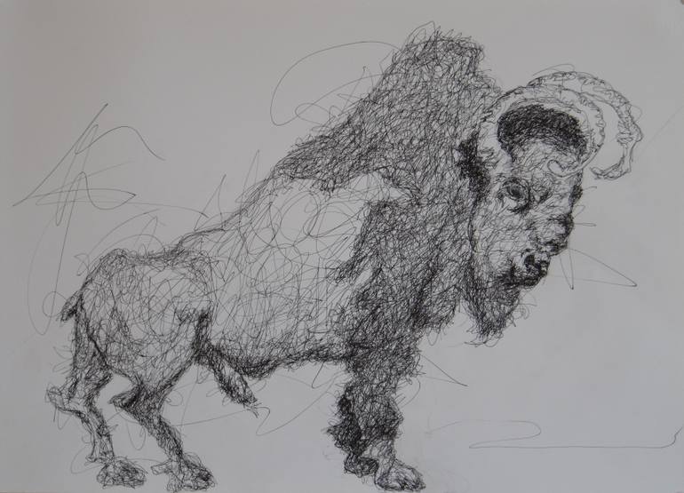 770x555 My Personal Atlas Of Zoology Bubulus Curnucurvis Drawing - Zoology Drawing