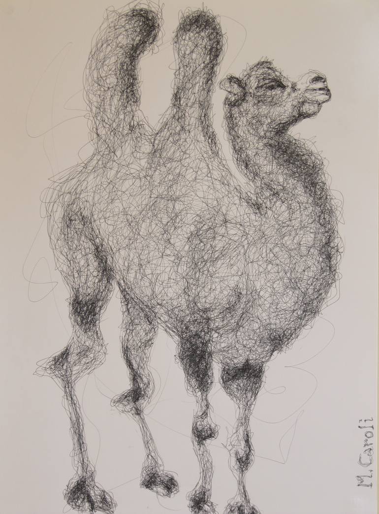 770x1044 My Personal Atlas Of Zoology Camel Drawing - Zoology Drawing