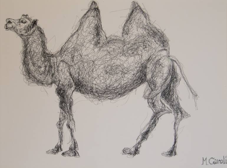 770x569 My Personal Atlas Of Zoology Camel Trophy Drawing - Zoology Drawing