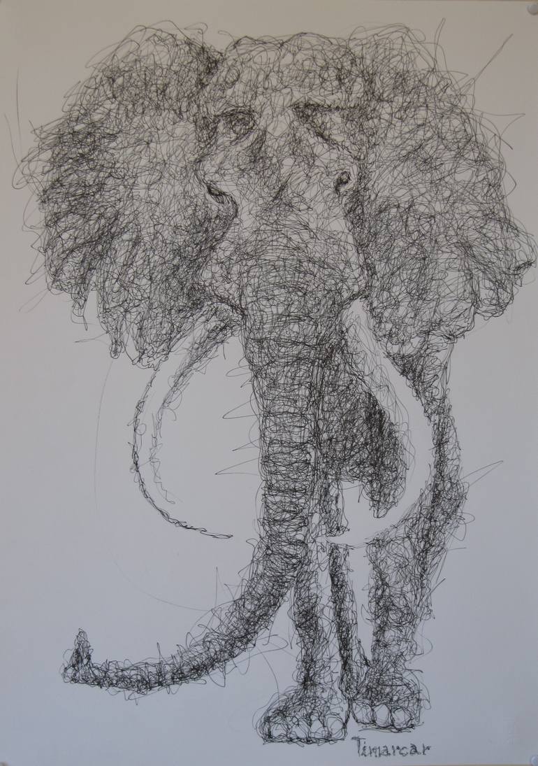 770x1095 My Personal Atlas Of Zoology Elephant Drawing - Zoology Drawing