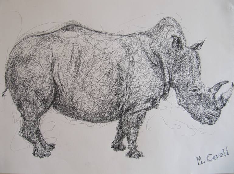 770x572 My Personal Atlas Of Zoology Rhino Drawing - Zoology Drawing