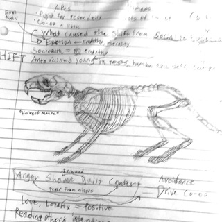 320x320 Zoology Drawings On Paigeeworld Pictures Of Zoology - Zoology Drawing