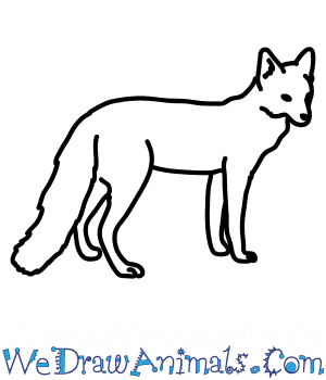 300x350 How To Draw A Zorro - Zorro Drawing