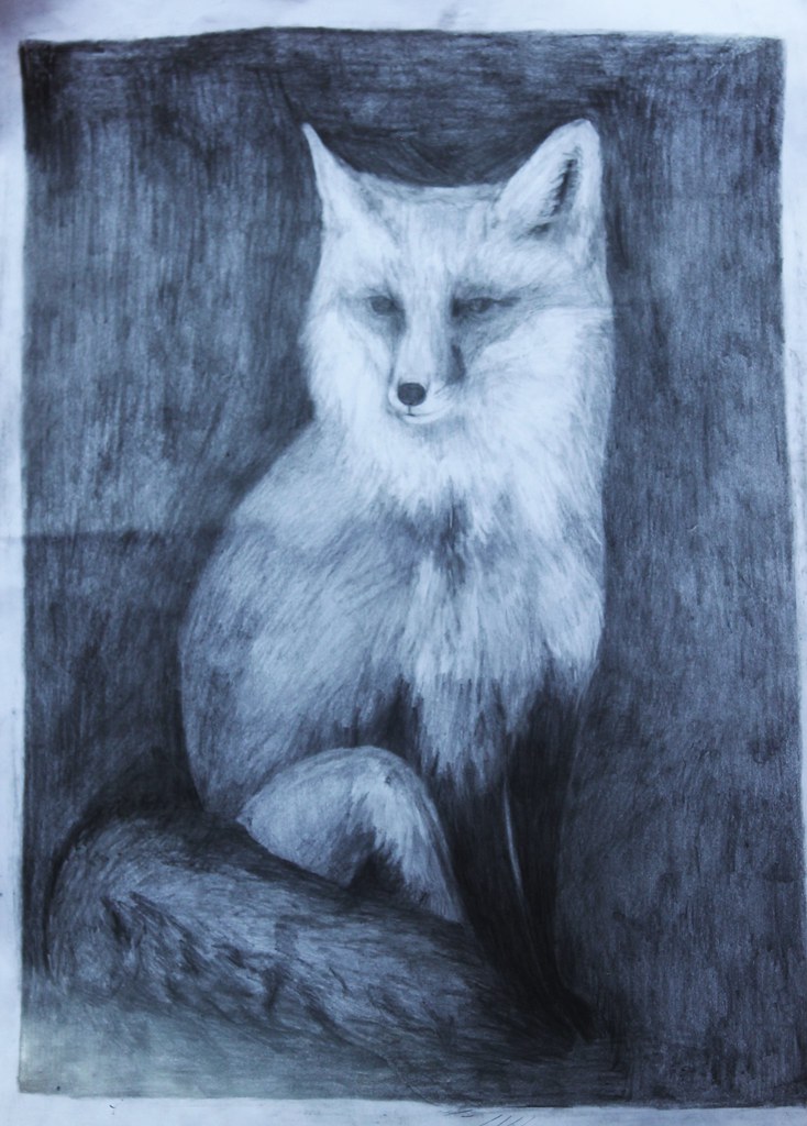 734x1024 The World's Best Photos Of Drawing And Zorro - Zorro Drawing