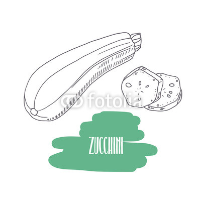 400x400 hand drawn zucchini isolated on white sketch style vegetables - Zucchini Drawing