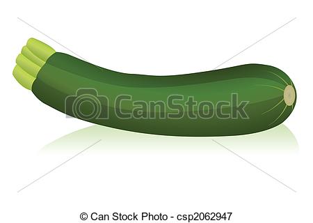 450x320 illustration of zucchini - Zucchini Drawing