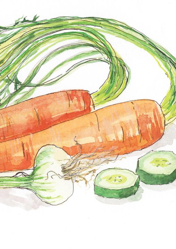 570x806 original watercolor carrots vegetables painting cooking etsy - Zucchini Drawing