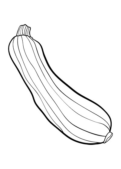 400x560 zucchini clipart drawing - Zucchini Drawing