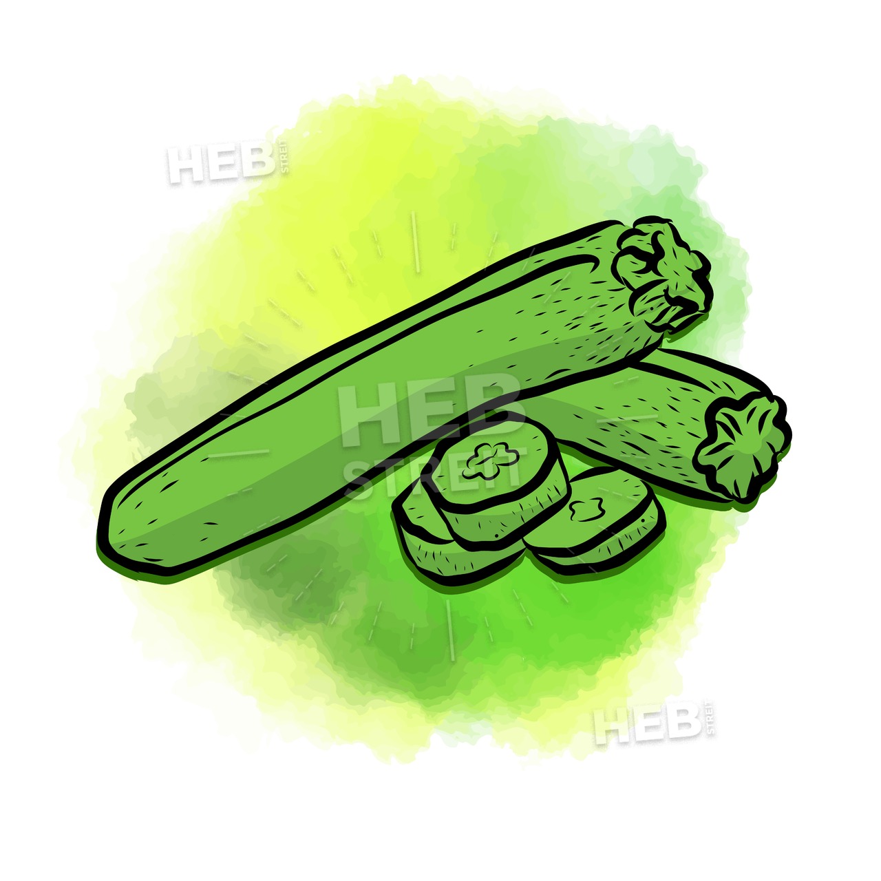 1280x1280 zucchini painted background hebstreits sketches - Zucchini Drawing