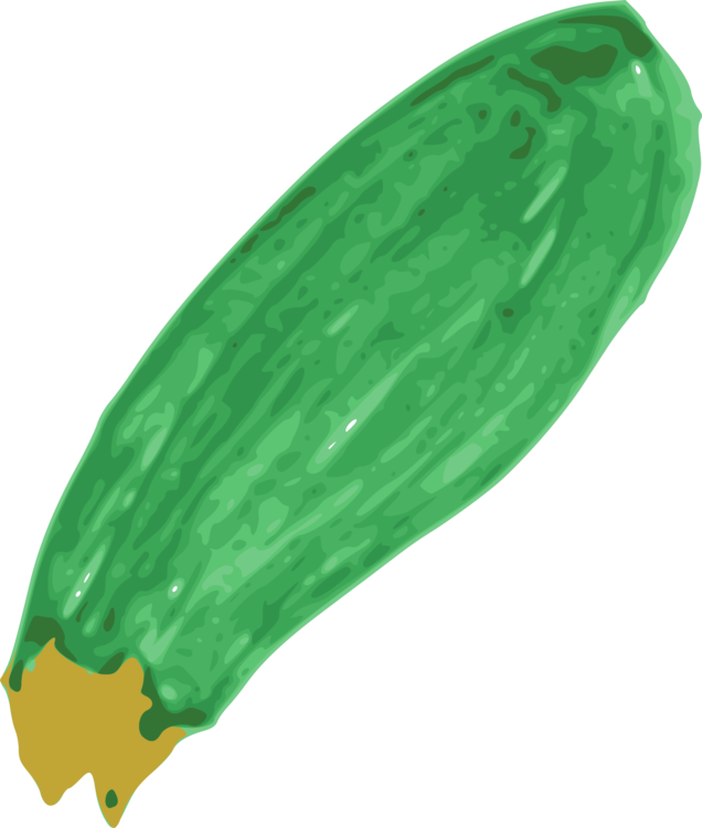 Zucchini Drawing at Explore collection of Zucchini