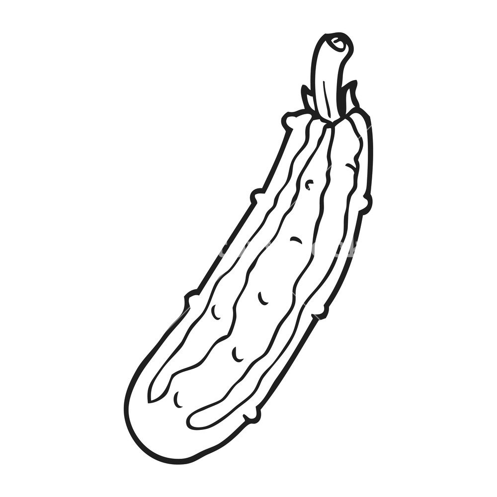 1000x1000 freehand drawn black and white cartoon zucchini royalty free stock - Zucchini Drawing