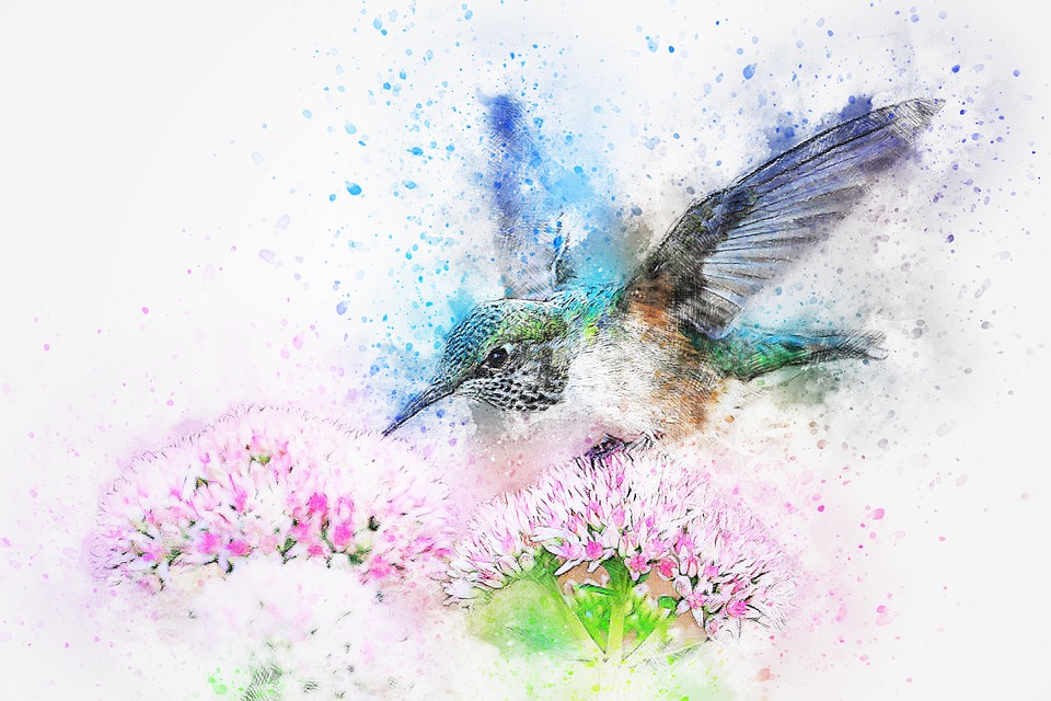 960x640 Free Photo Watercolor Abstract Art Animal Flowers Bird - Abstract Art Watercolor