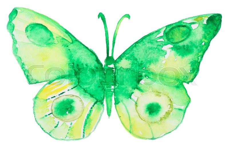 800x520 Abstract Watercolor Hand Drawn Green Butterfly. Hand Painted - Abstract Butterfly Watercolor