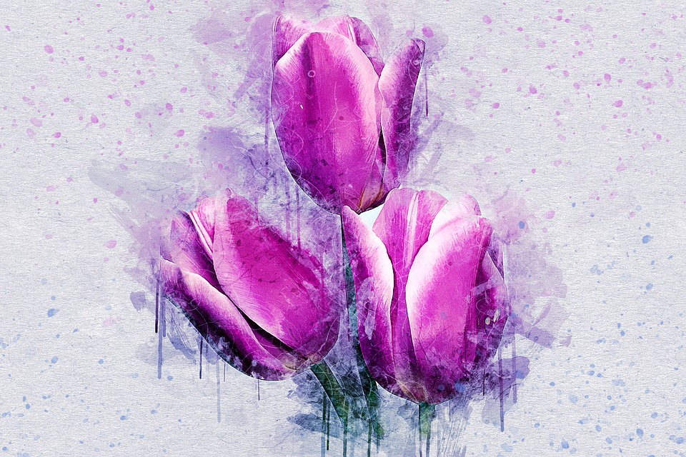 960x640 Free Photo Nature Tulip Art Abstract Flowers Watercolor - Abstract Flower Watercolor