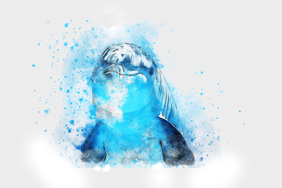 960x640 Free Photo Art Watercolor Animal Dolphin Nature Abstract - Abstract Water Color Art