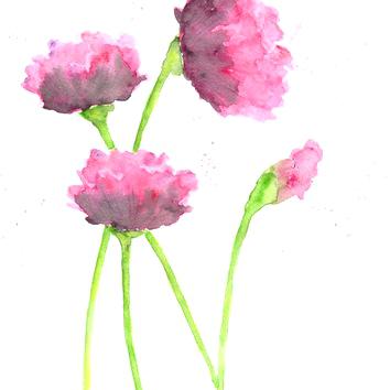 354x354 Abstract Watercolor Flowers Abstract Watercolor Flowers On Scrble.co - Abstract Watercolor Flower Paintings