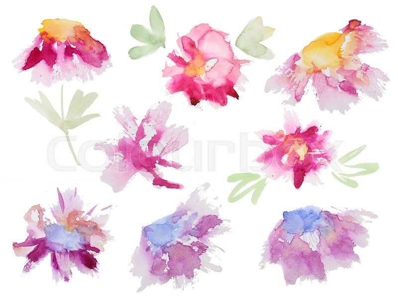 800x615 Collection Of Abstract Watercolor Flowers. Set Of Beautiful - Abstract Watercolor Flowers