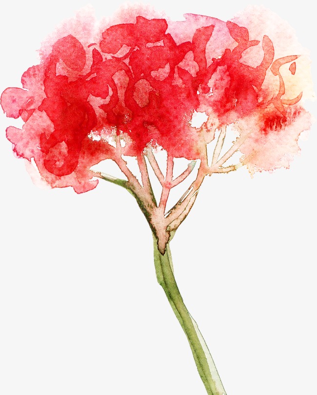 650x810 Abstract Watercolor Flowers, Watercolor Clipart, Retro, Hand - Abstract Watercolor Flowers