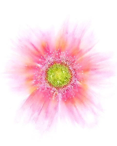 480x600 Abstract Watercolor Flowers Abstract Watercolor Flower Watercolor - Abstract Watercolor Flowers