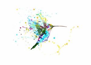 300x215 Original Watercolour Humming Bird Print Animal Painting Abstract - Abstract Watercolor Hummingbird