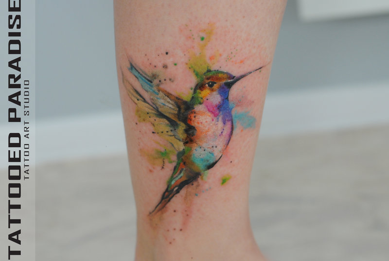 800x537 Watercolor Tattoo Hummingbird By Dopeindulgence - Abstract Watercolor Hummingbird