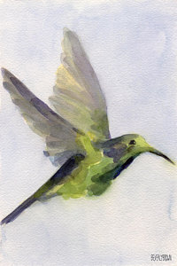 200x300 Abstract Hummingbird Art Fine Art America - Abstract Watercolor Hummingbird