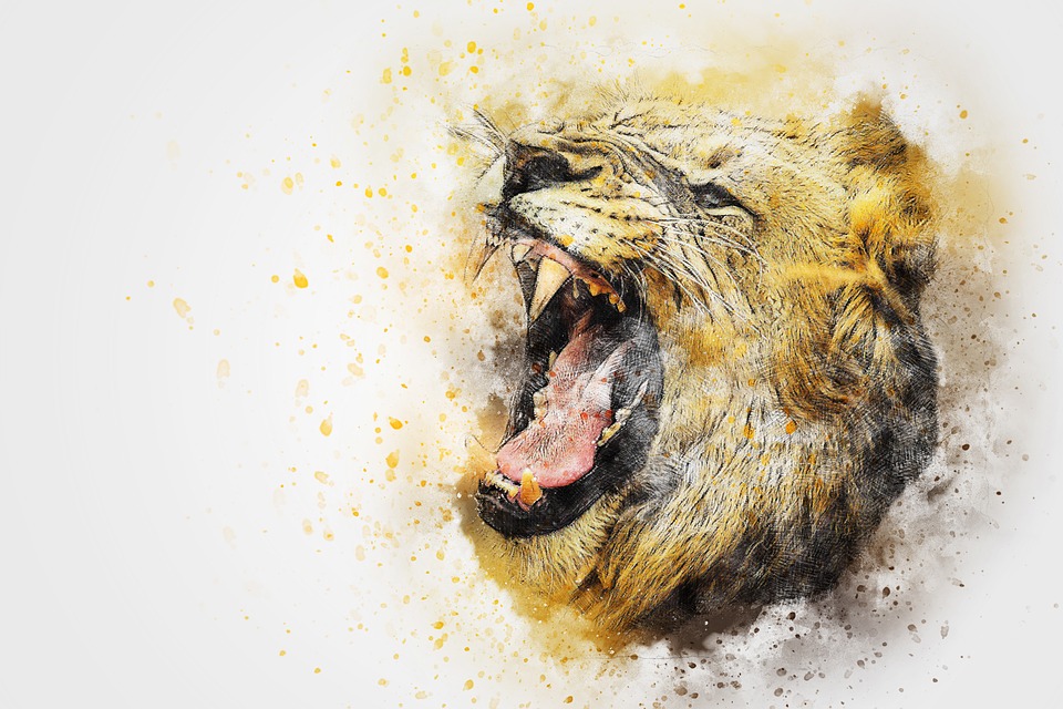 960x640 Free Photo Vintage Abstract Art Roar Animal Lion Watercolor - Abstract Watercolor Lion