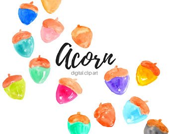 340x270 Acorn Watercolor Etsy - Acorn Watercolor
