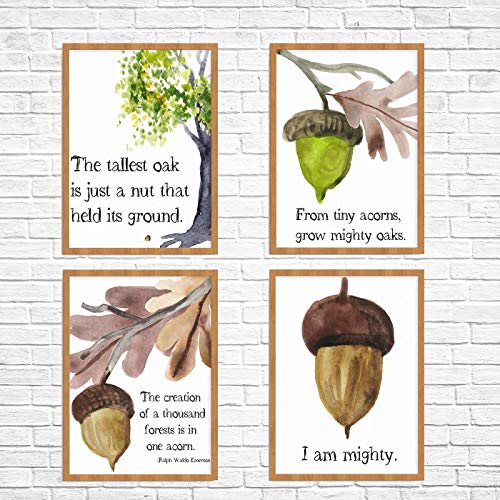 500x500 Set Of 4 Acorn Oak Tree Quote Watercolor Prints - Acorn Watercolor