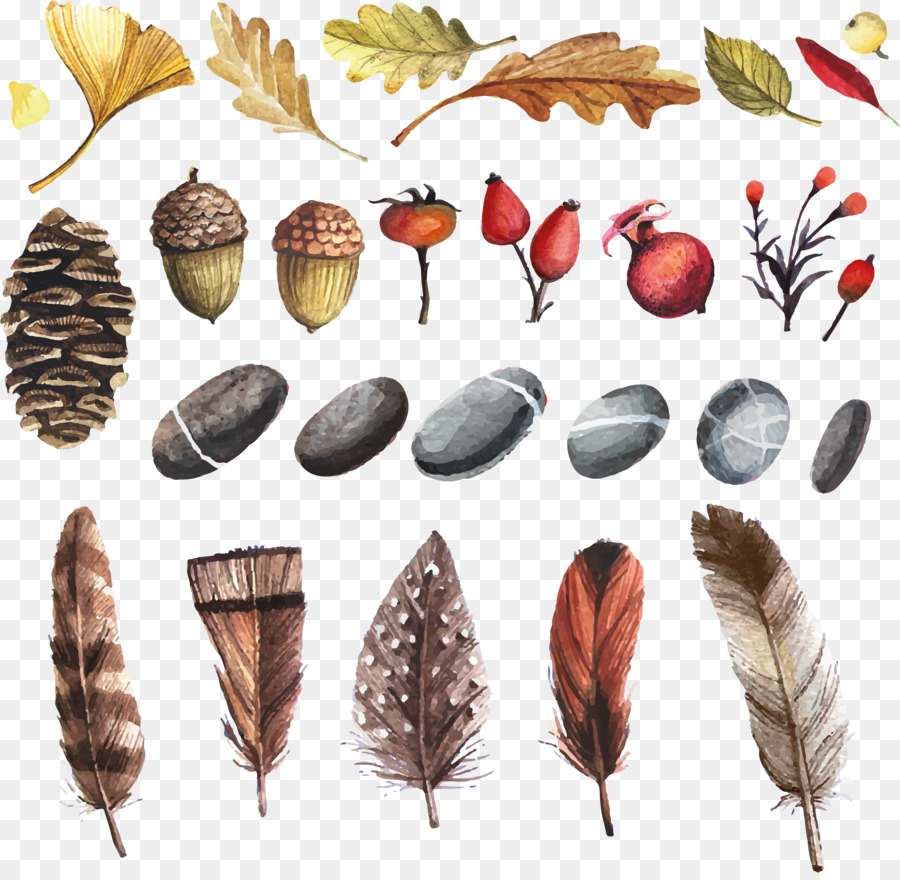 900x880 Watercolor Painting Flower Clip Art - Acorn Watercolor