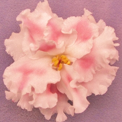 400x400 Pink Watercolor - African Violet Pink Watercolor