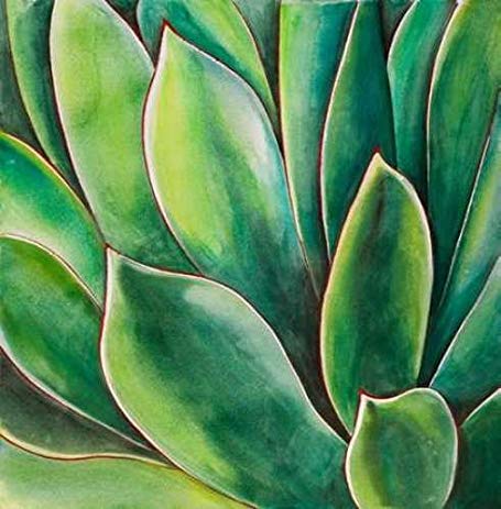 455x463 Watercolor Agave Plant By Atelier B Art Studio - Agave Watercolor