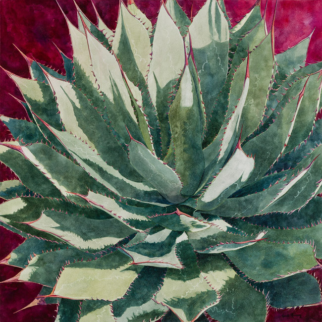 650x650 Desert Lotus Agave Watercolor Painting Heidi Rosner - Agave Watercolor
