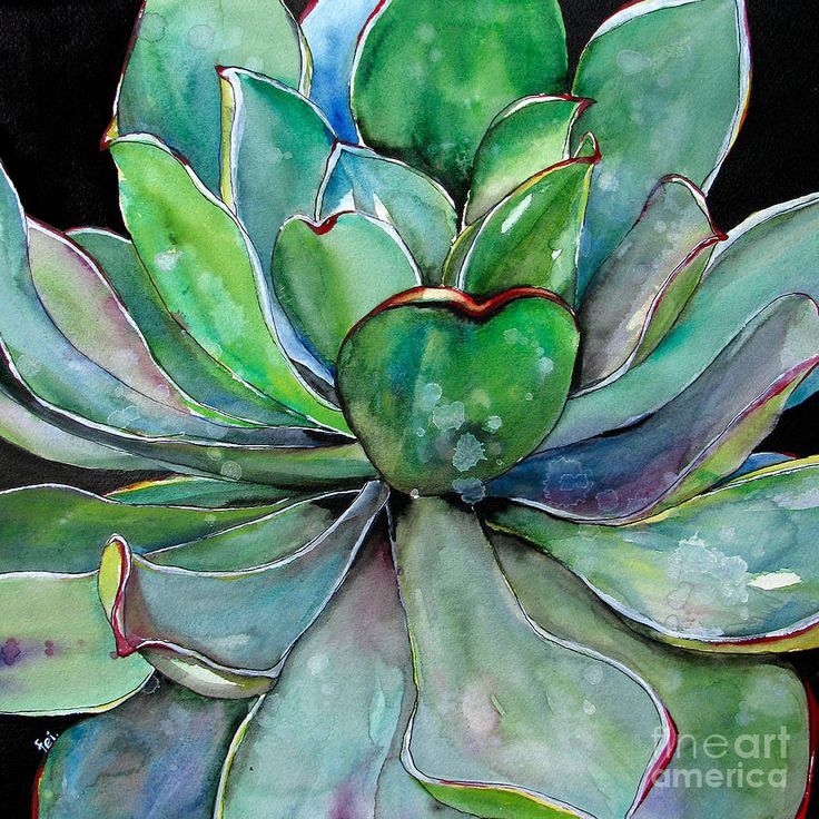 736x736 Green Agave Watercolor Canvas Print Canvas Art By Fei Liu - Agave Watercolor