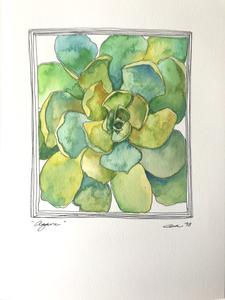 225x300 Original Mixed Media Watercolor Amp Pen Amp Ink Drawing Agave The - Agave Watercolor