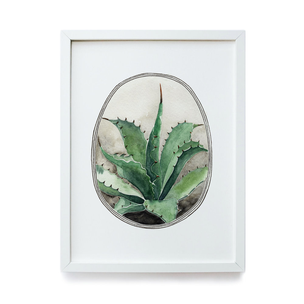 1000x1000 Agave Archival Print Anna Tovar - Agave Watercolor