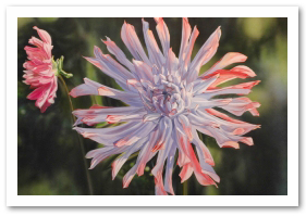 281x199 Iwata Airbrushes Watercolors And Acrylics - Airbrush Watercolor