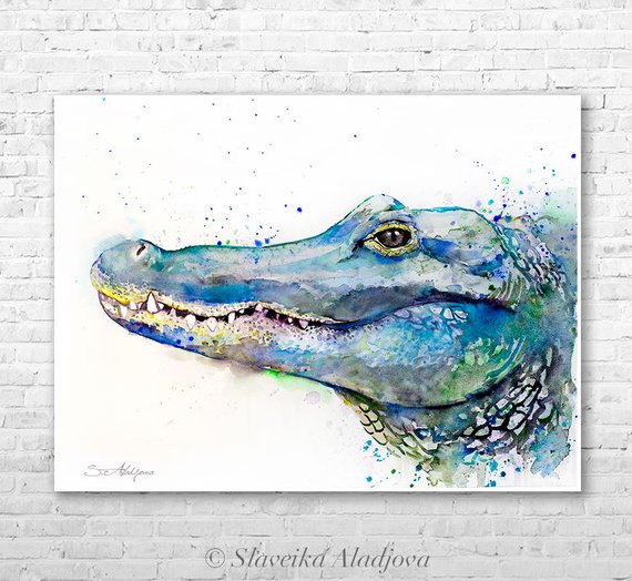570x524 Alligator Watercolor Painting Print By Slaveika Aladjova Art Etsy - Alligator Watercolor