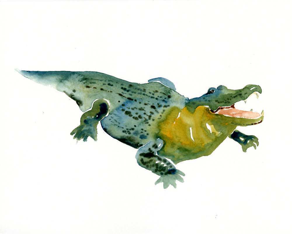 1000x801 Alligator Painting Luxury Alligator 7x5inch Art Print Animal - Alligator Watercolor
