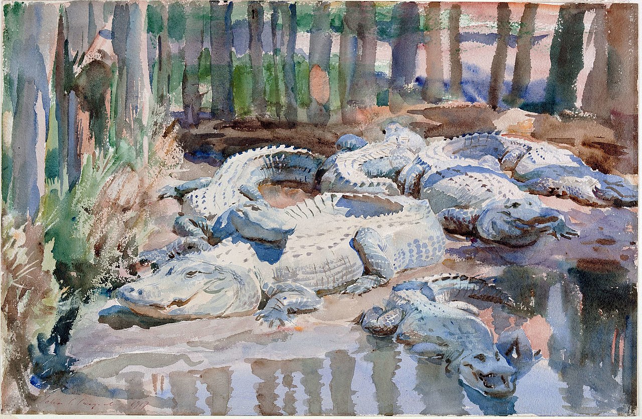 1280x836 Filesargent - Alligator Watercolor